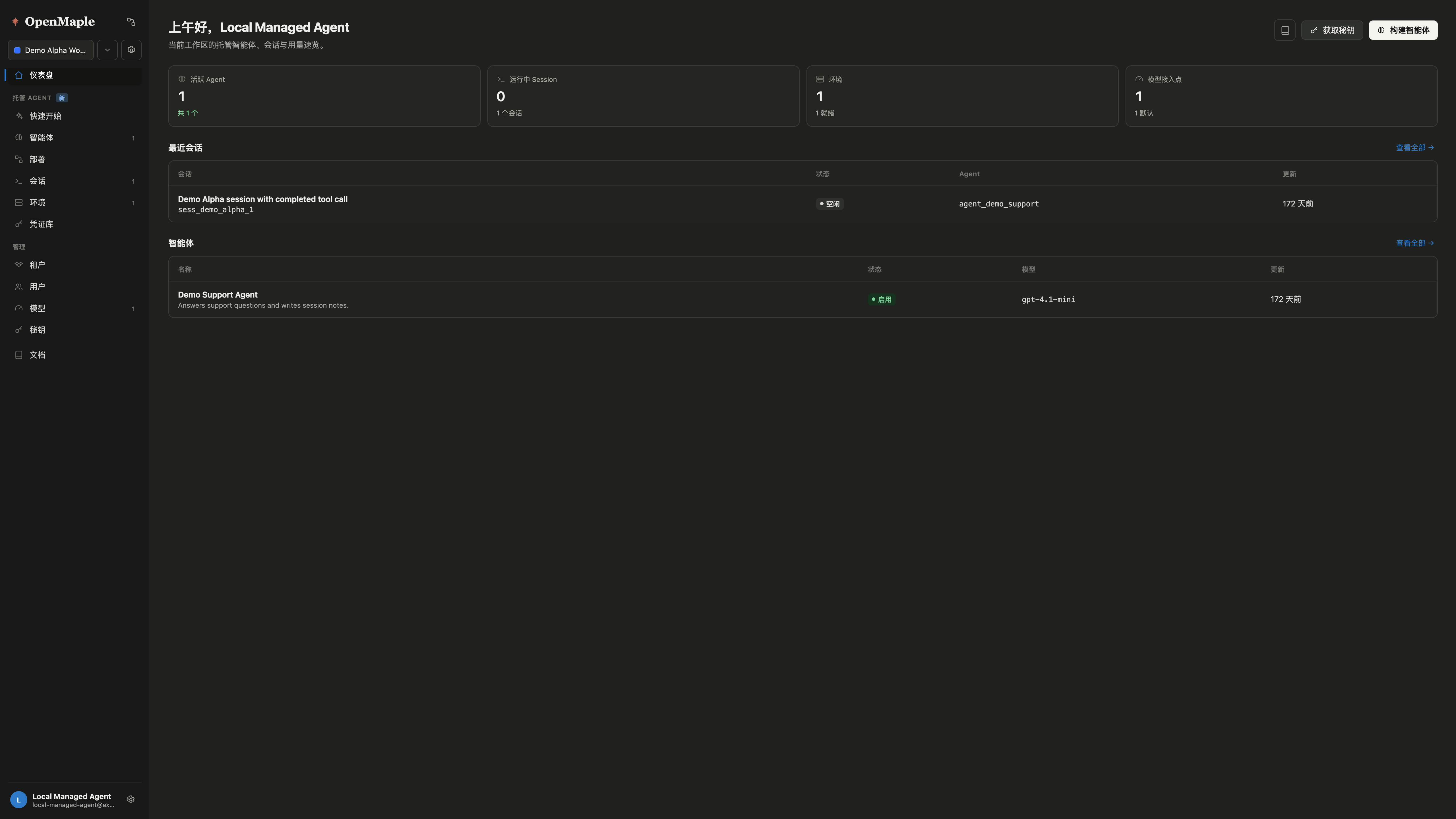 OpenMaple local Docker demo workspace dashboard