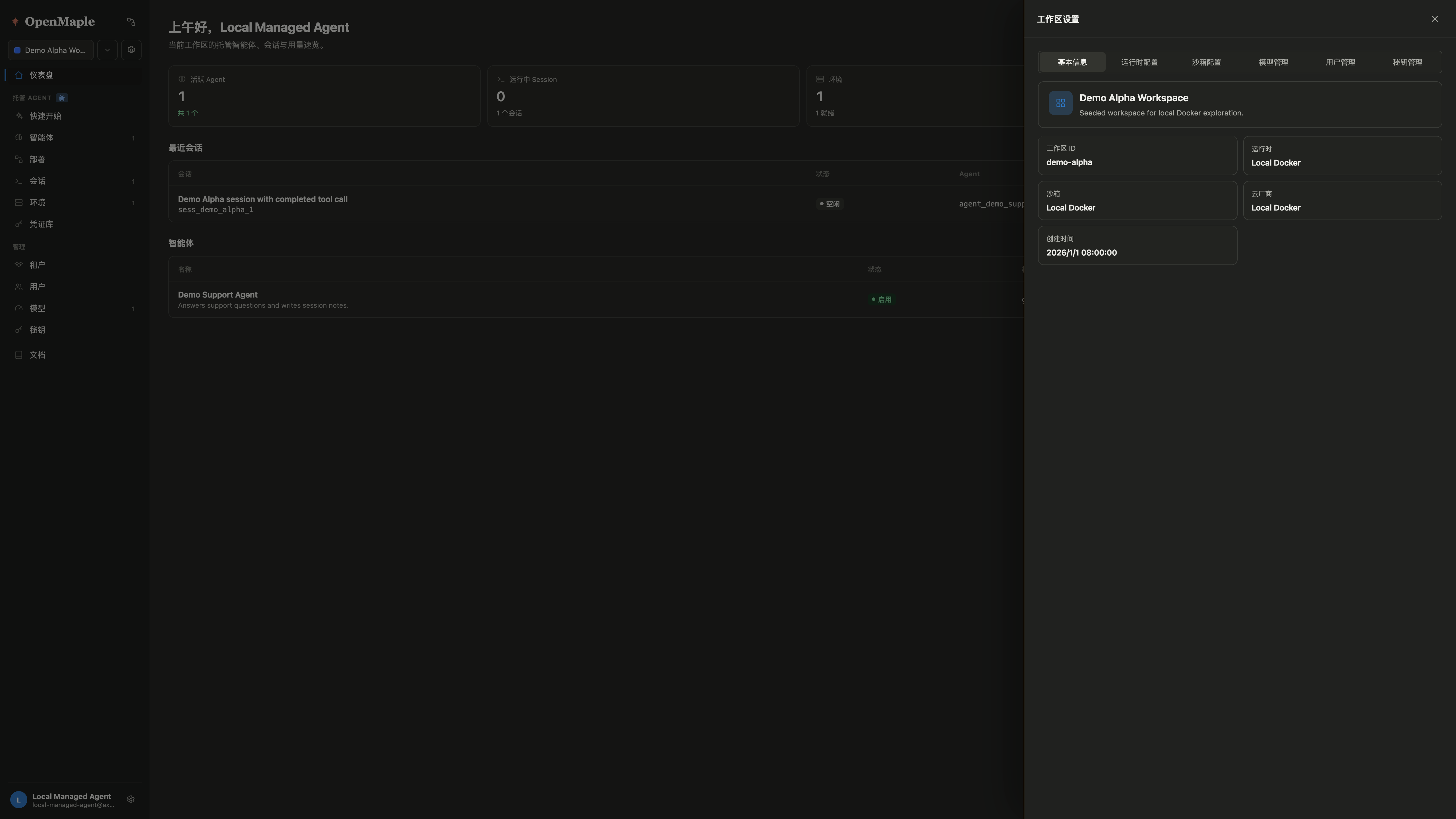 OpenMaple local Docker workspace settings overview