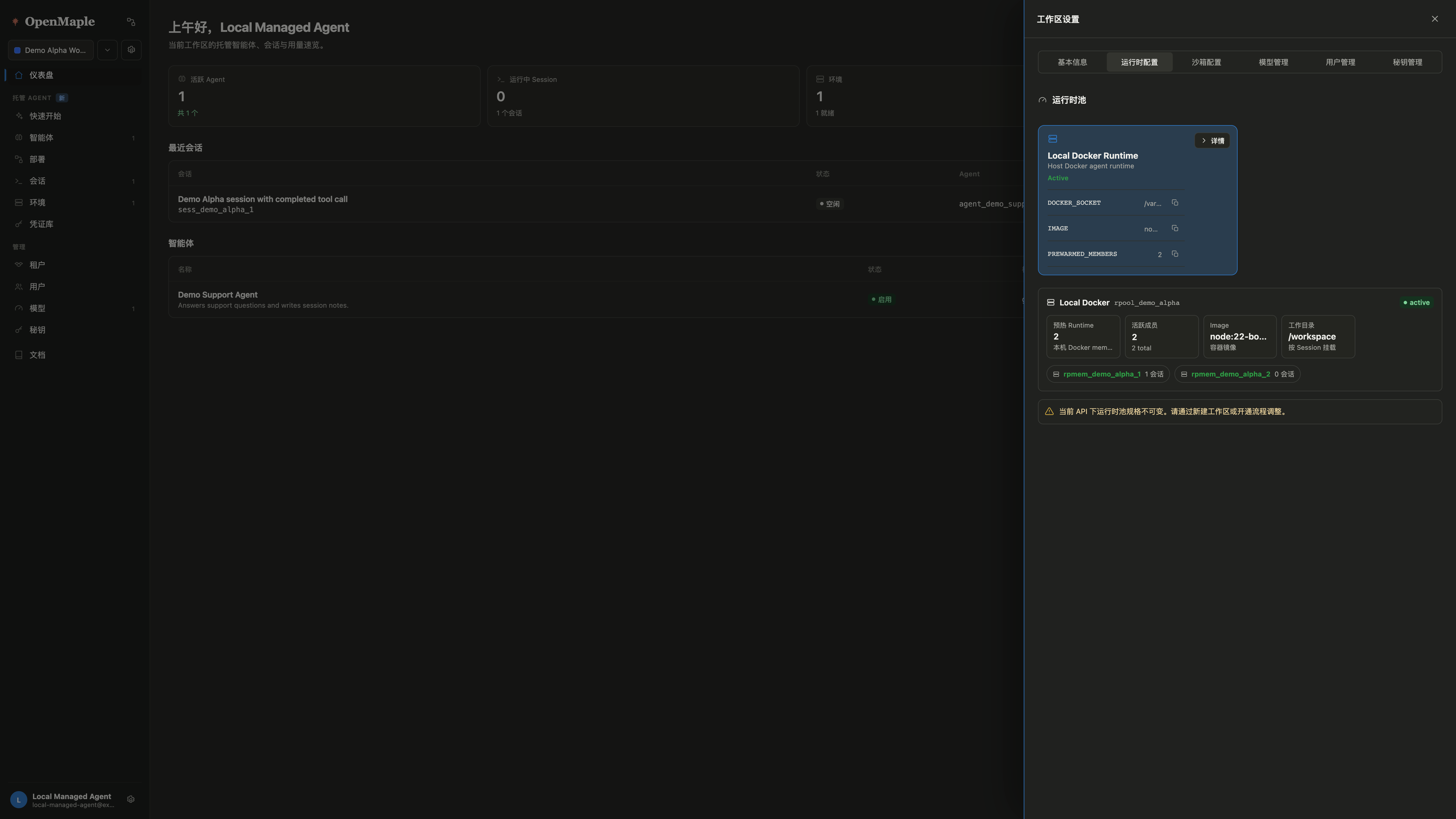 OpenMaple local Docker runtime provider settings